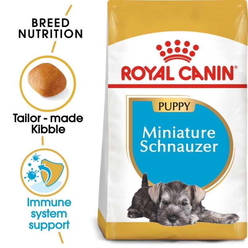 BHN Miniature Schnauzer Puppy