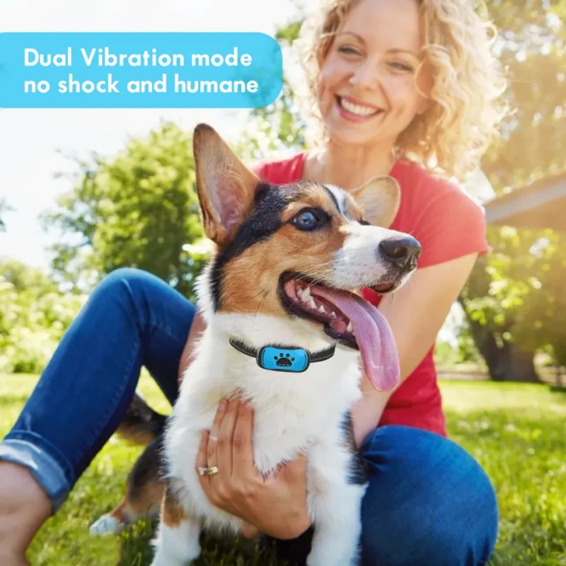 Geltiól með titring (ekki rafstuð) - Image 4