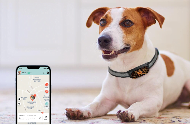 Seavis gps hundaól