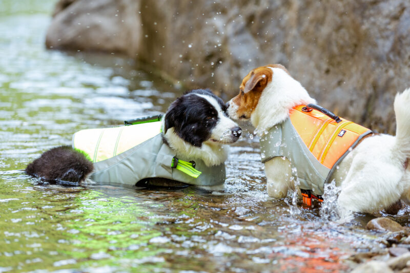 Truelove Flotvesti - Image 16