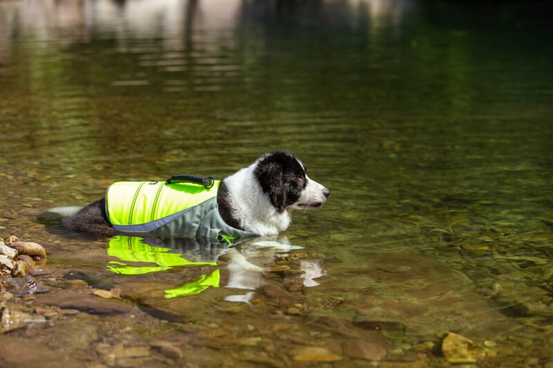 Truelove Flotvesti - Image 9