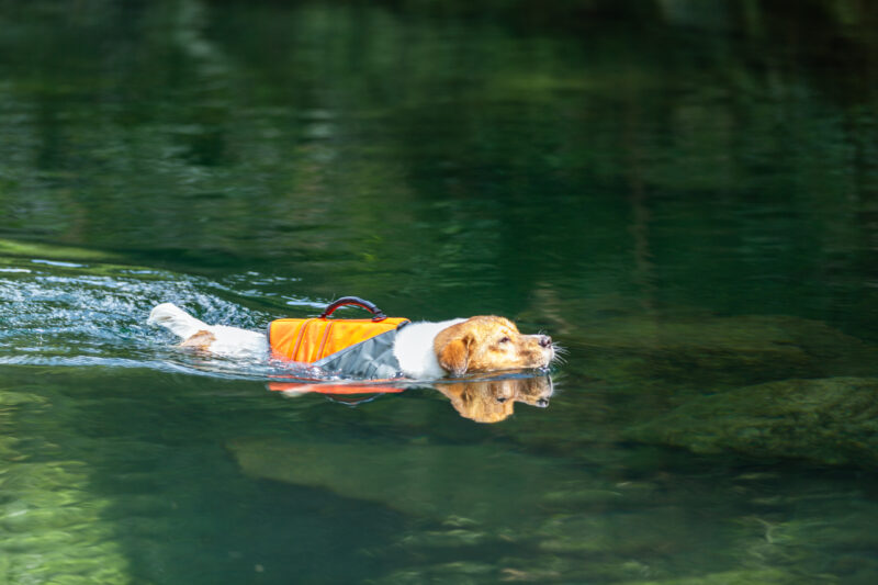 Truelove Flotvesti - Image 11