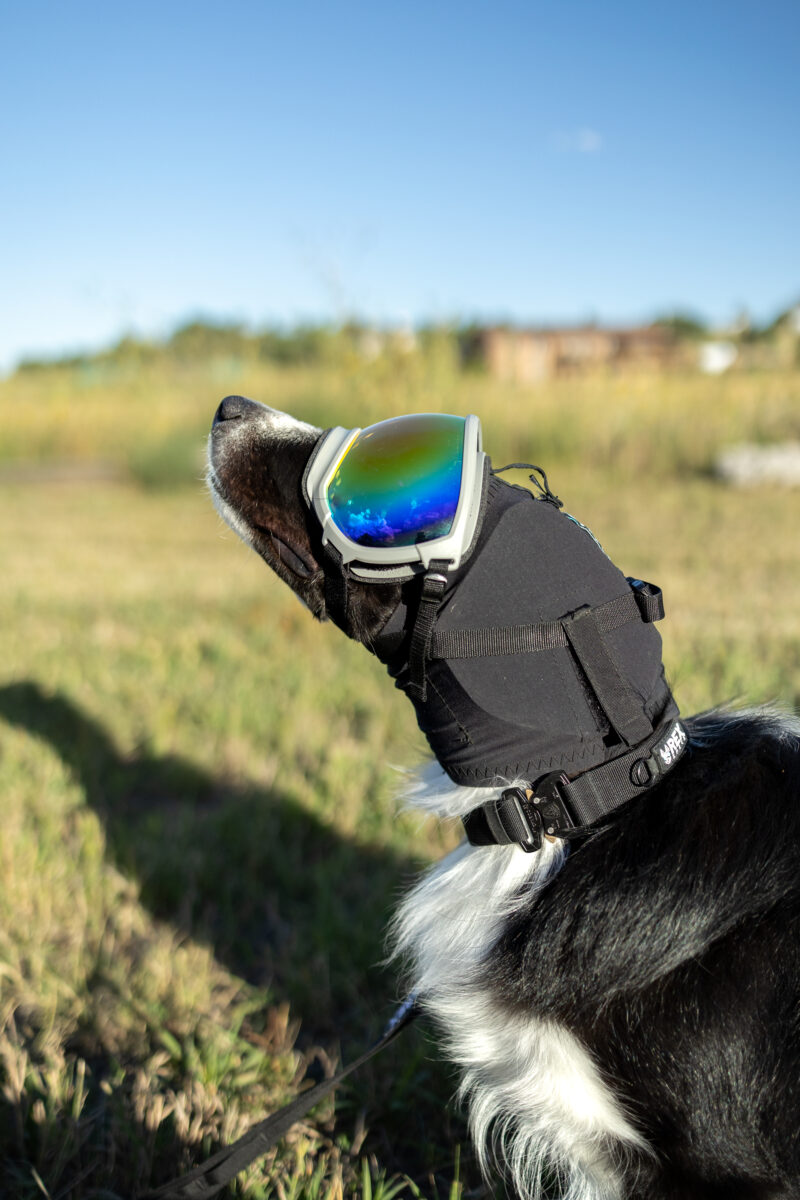 Rex Specs EAR PRO - Image 6