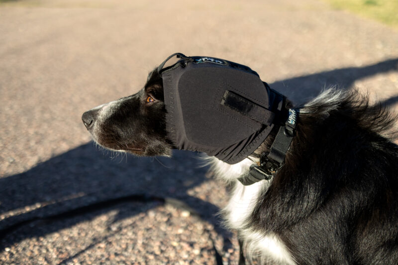 Rex Specs EAR PRO - Image 5