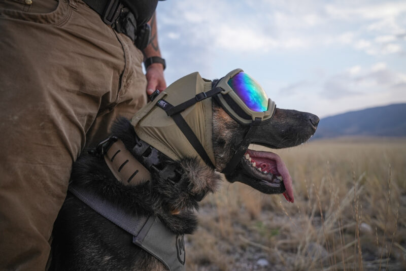 Rex Specs EAR PRO - Image 2